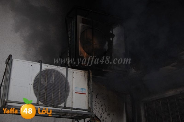 fire tomashin 0129 (5).JPG